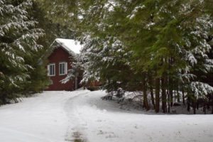 Stowe Cabins in the Woods