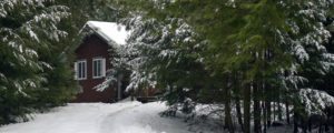 Stowe Cabins in the Woods