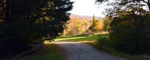 Stowe Cabins in the Woods