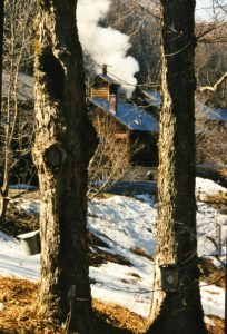 Nebraska Knoll Sugar Farm