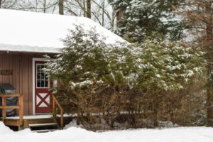 Stowe Cabins in the Woods