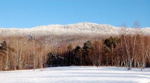 Stowe Meadows