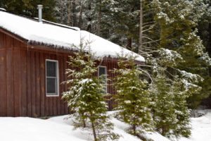 Stowe Cabins in the Woods