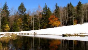 Stowe Meadows