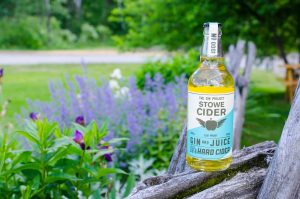 Stowe Cider Gin and Juice