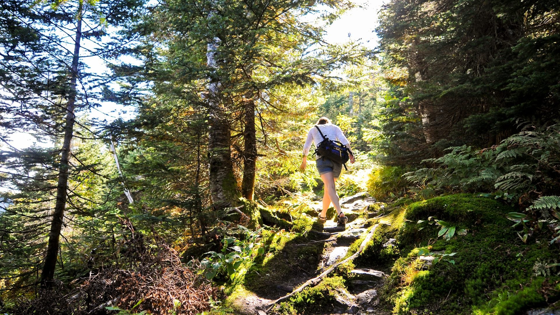 A hiker walks up Mount Mansfield trails in Vermont.