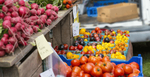 stowe farmers market